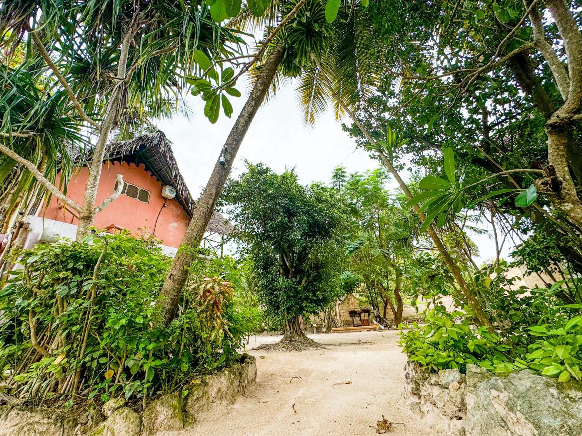 Sagando Bungalows Zanzibar Michamvi Eksteriør billede